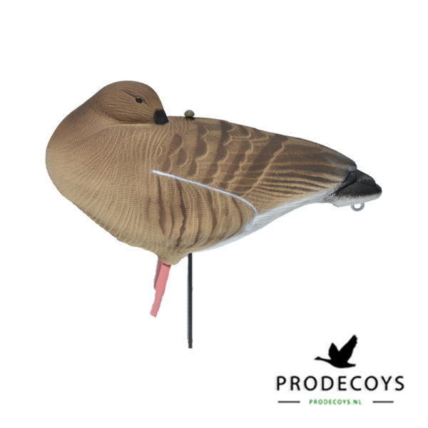 bean goose sleeper decoy