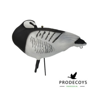 brandgans sleeper lokgans