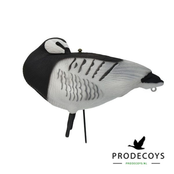 brandgans sleeper lokgans