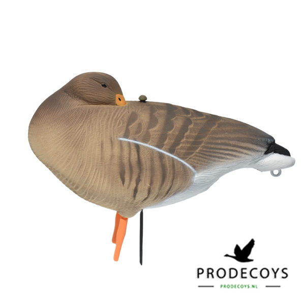 grauwe gans sleeper lokgans