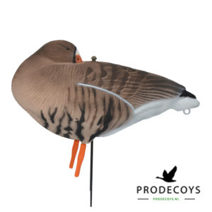 kolgans sleeper lokgans