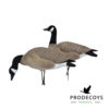 Eliteserien fuldkrop Canadagås lokkefugle malet