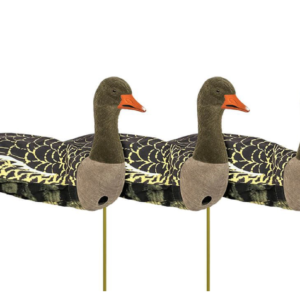 Grågås Sillosocks flocksox