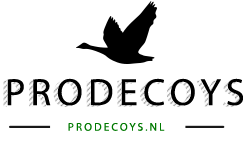 Lokganzen logo