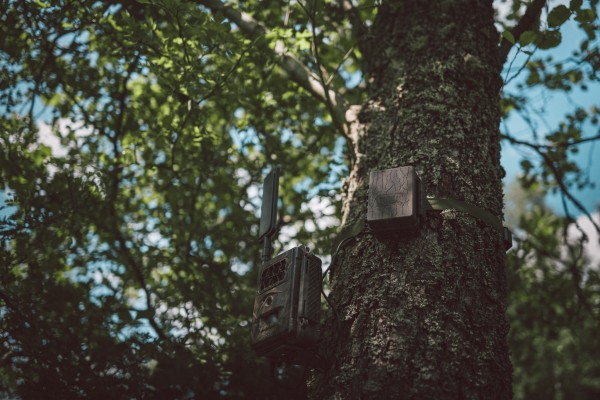 96dpi_WWW-CHRISTOF-WOLF-COM_SEISSIGER_1185_600x600