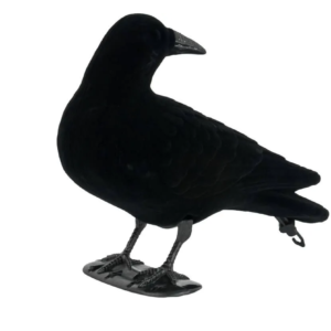 Kragen drejer hovedet