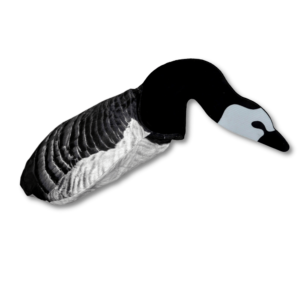 Barnacle Goose Sillosocks 6 stk.