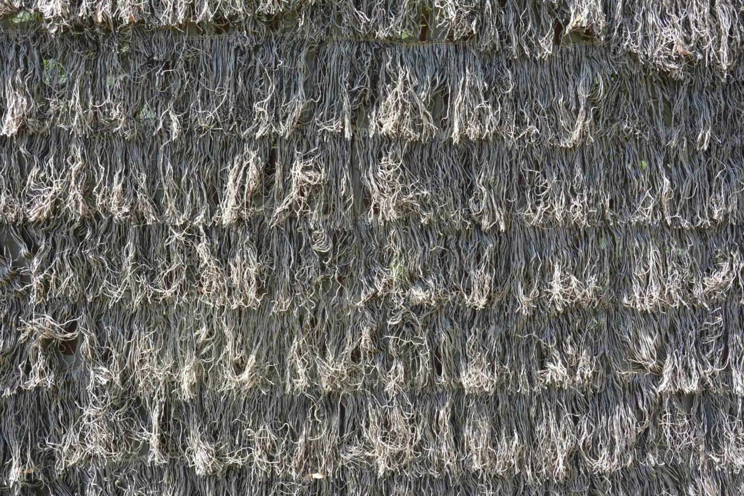 ghillie hvede 4 2-min_11zon